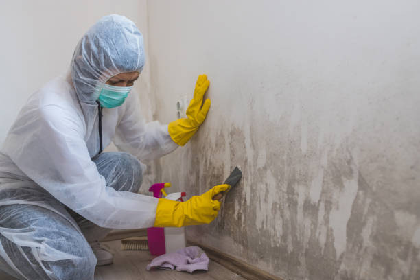 Best Biohazard Mold Removal  in Harbor Beach, MI