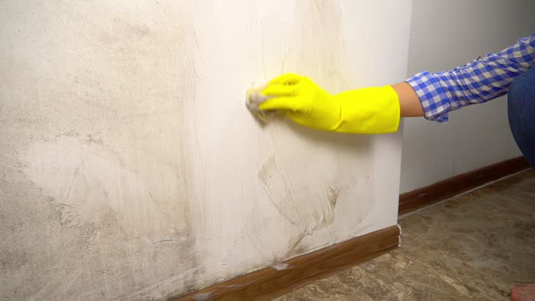Best Mold-Related Health Consultation  in Harbor Beach, MI