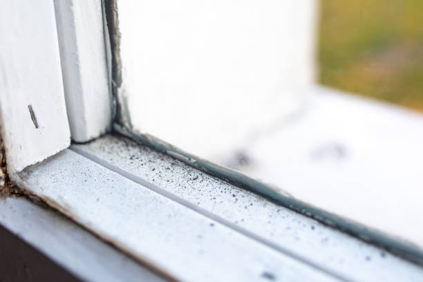 Best HVAC Mold Inspection and Cleaning  in Harbor Beach, MI