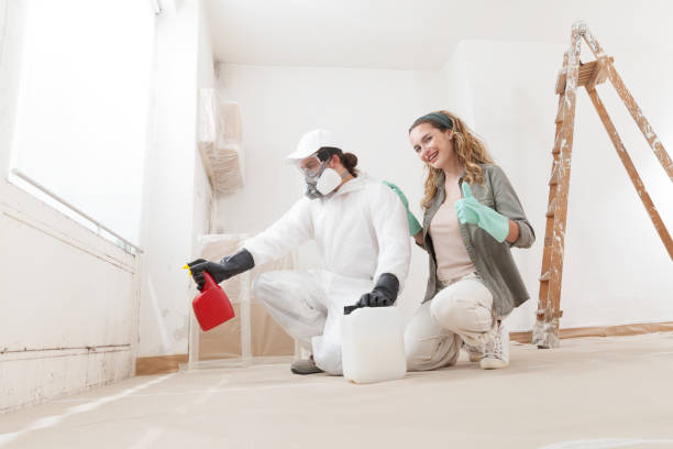 Best Residential Mold Inspection & Testing  in Harbor Beach, MI